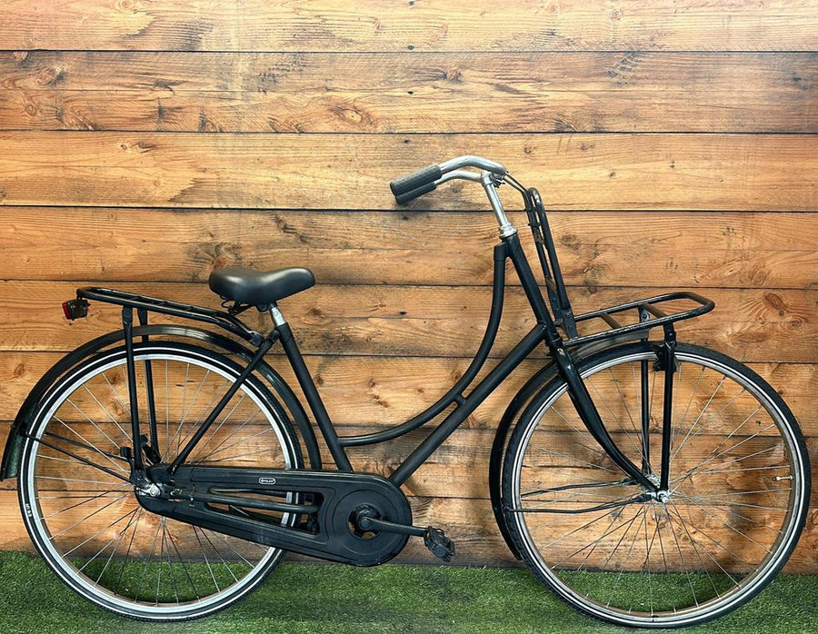 Carrier bike