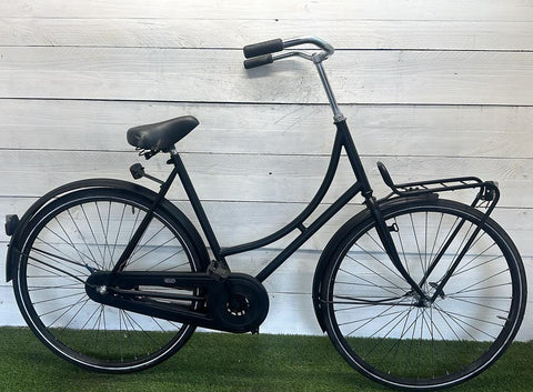 Carrier bike
