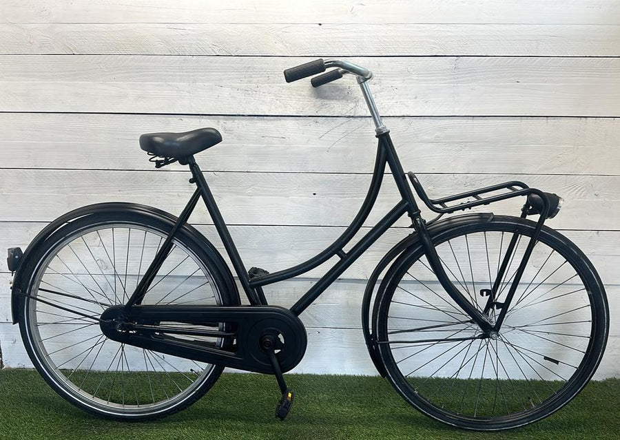 Carrier bike