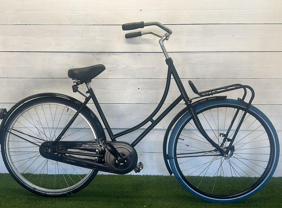 Carrier bike
